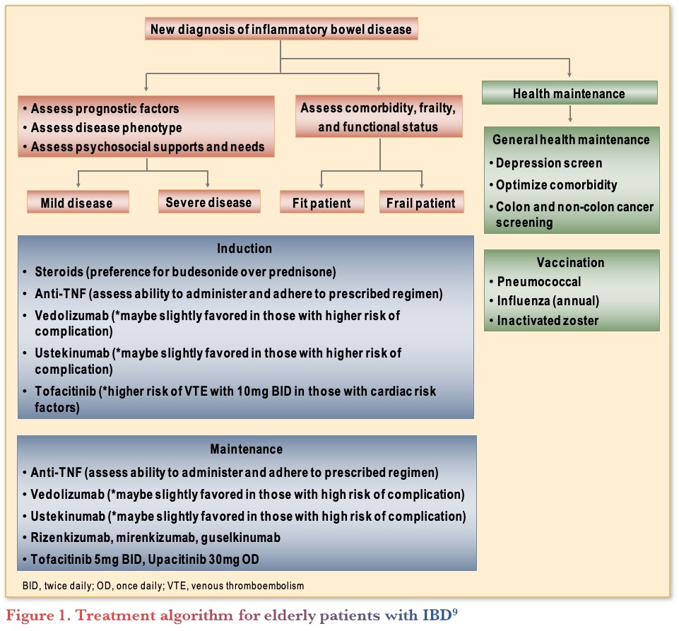 Treatment algorithm for elderly patients with IBD